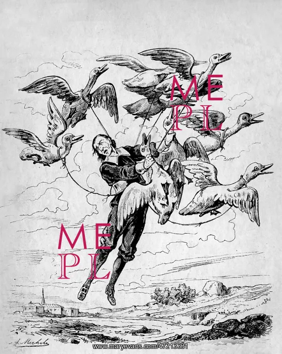: THE MAN IN THE MOONE : THE MAN IN THE MOONE