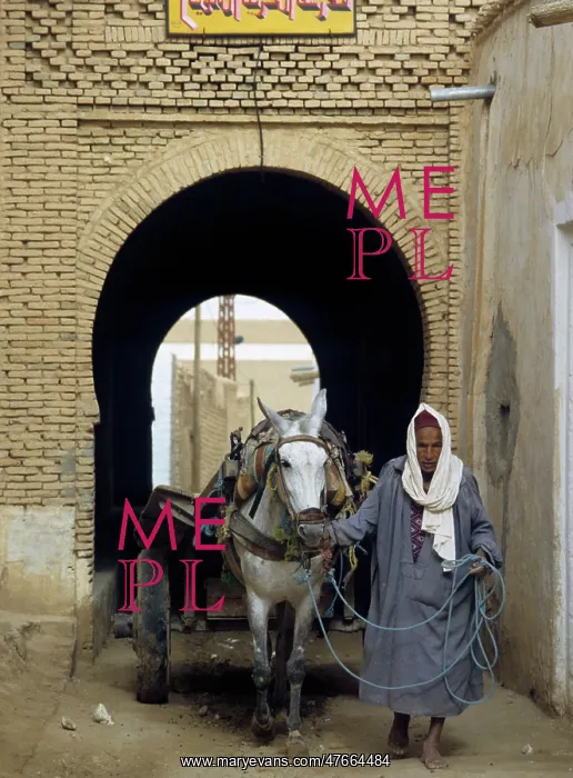: Man with mule cart, Neft, Tunisia : Man with mule cart, Neft, Tunisia