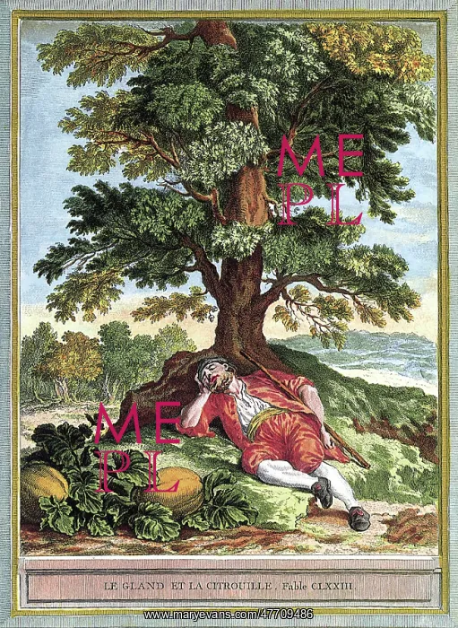  : Man Naps Near Pumpkins