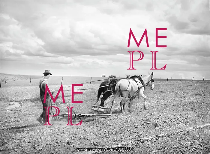: man - occupations - farmer - agriculture : man - occupations - farmer - agriculture