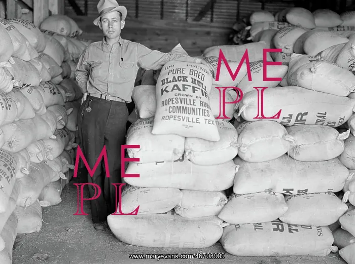 : Man - Occupations - Farmer - Rural : Man - Occupations - Farmer - Rural