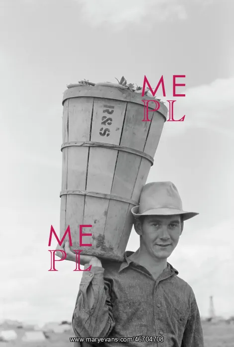  : Man - Occupations - Farmer - Worker