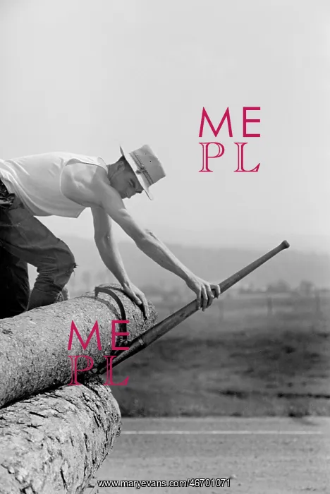 : Man - Occupations - Lumber - Worker : Man - Occupations - Lumber - Worker