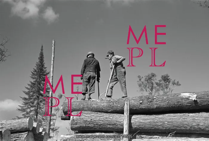 : Man - occupations - lumberjack - timber : Man - occupations - lumberjack - timber