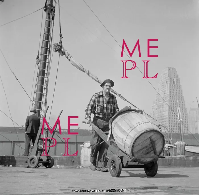 : Man - Occupations - Seafood - Fish : Man - Occupations - Seafood - Fish