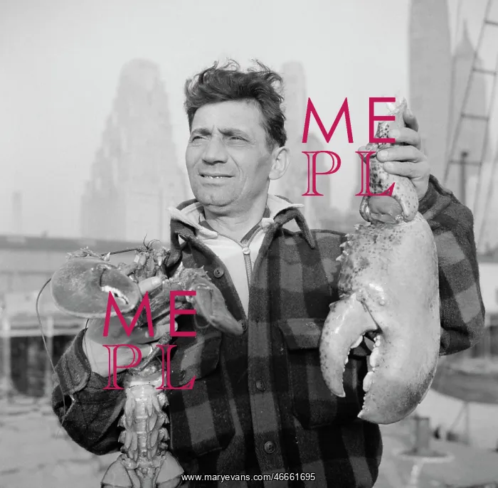 : Man - Occupations - Seafood - Fish : Man - Occupations - Seafood - Fish