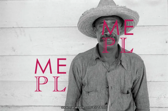: Man - occupations - sharecropper - farmer : Man - occupations - sharecropper - farmer
