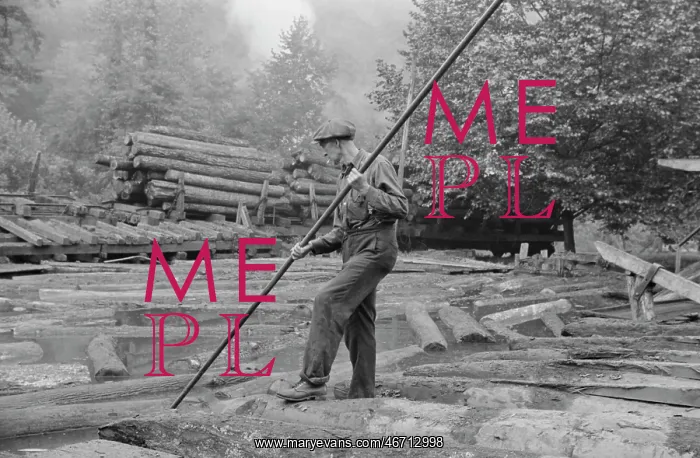 : Man - Occupations - Worker - Logging : Man - Occupations - Worker - Logging