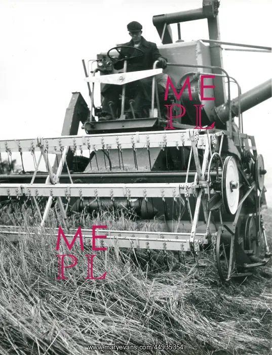 : Man operating a combine harvester, Cornwall : Man operating a combine harvester, Cornwall