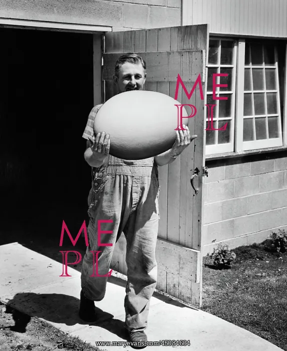 : Man in Overalls Walking Out of Barn Carrying Massive Egg : Man in Overalls Walking Out of Barn Carrying Massive Egg