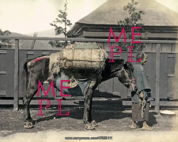 : Man with pack horse, Japan : Man with pack horse, Japan