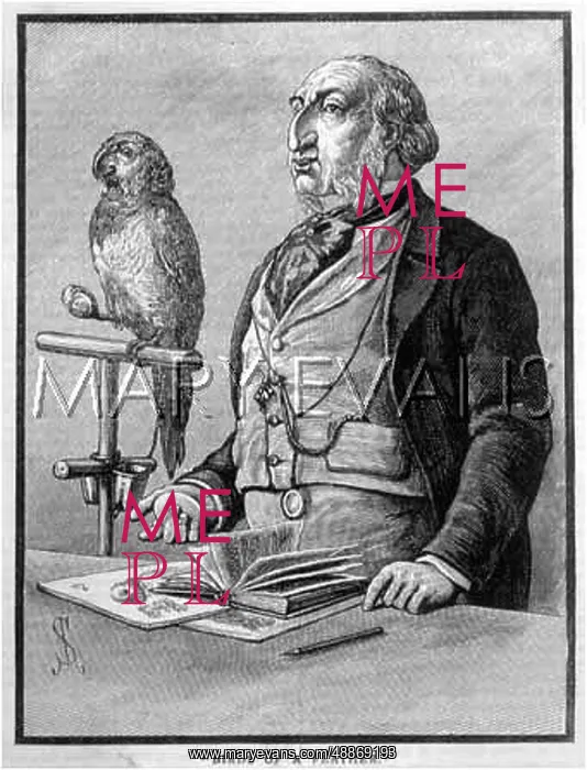 : Man and parrot lookalike : Man and parrot lookalike