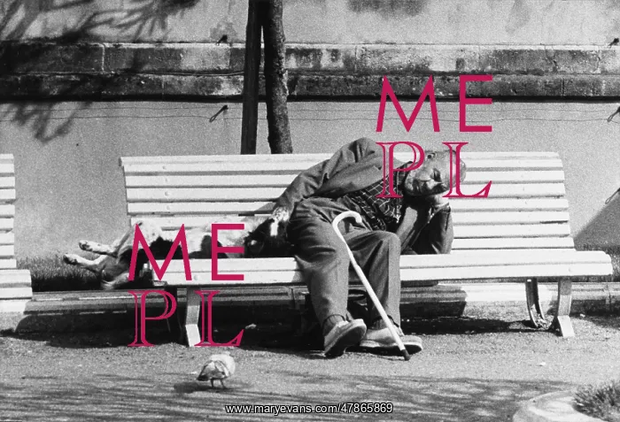 : Man and pet dog asleep on bench : Man and pet dog asleep on bench