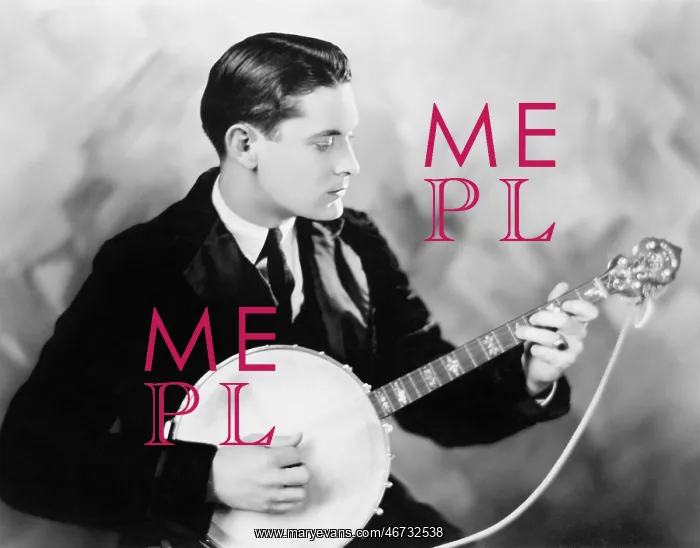  : Man playing a banjo