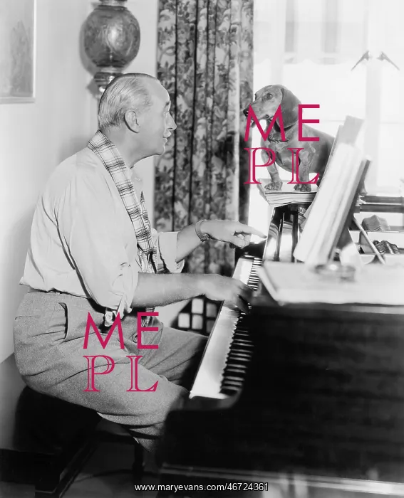  : Man playing for his dog the piano