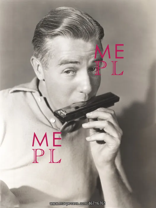 : Man playing the harmonica : Man playing the harmonica