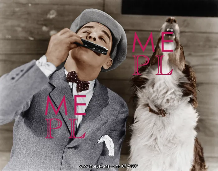 : Man playing harmonica with howling dog : Man playing harmonica with howling dog