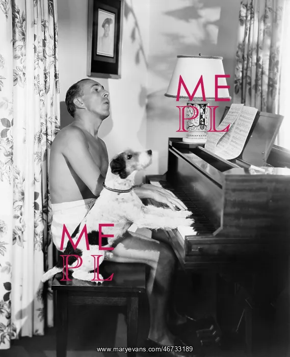 : Man playing a piano with his dog next to him : Man playing a piano with his dog next to him