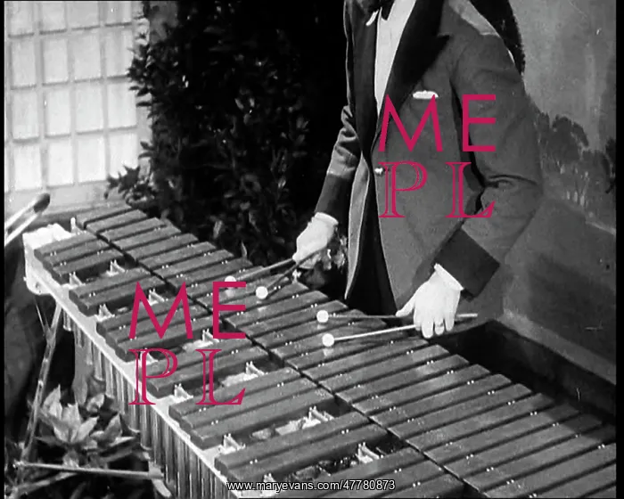 : Man Playing the Xylophone : Man Playing the Xylophone