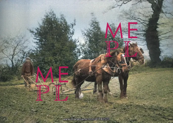 : Man ploughing with two horses : Man ploughing with two horses