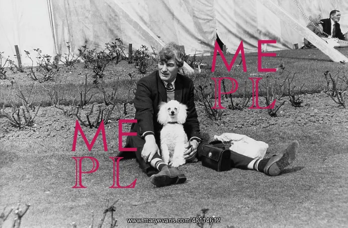 : Man and poodle in a park : Man and poodle in a park
