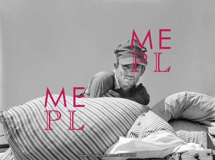 : man - portrait - occupations - leisure : man - portrait - occupations - leisure