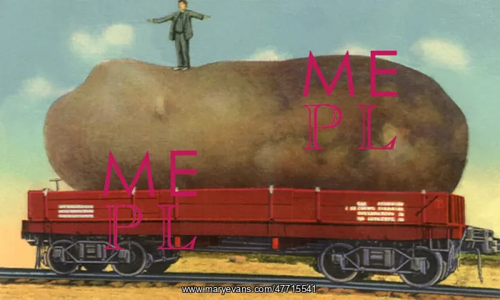  : Man on Potato