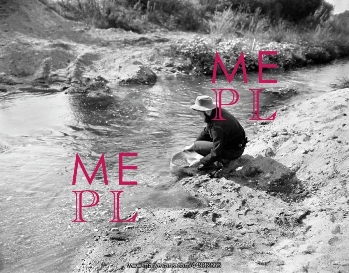 : Man Prospector Panning for Gold in Stream : Man Prospector Panning for Gold in Stream