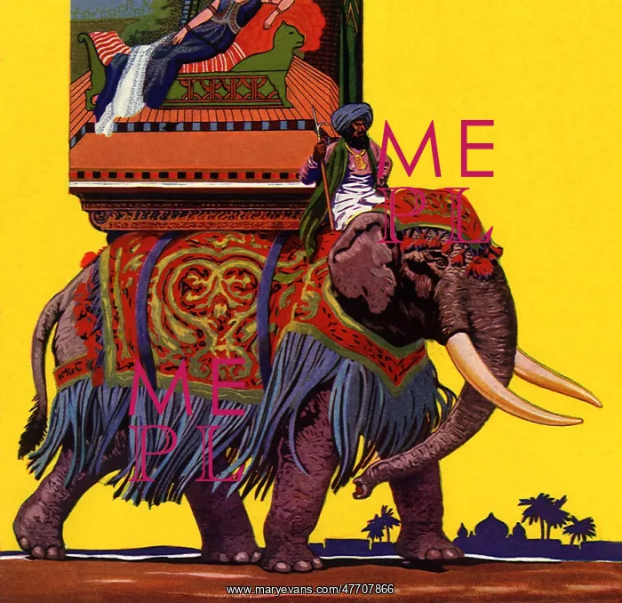  : Man Rides Elephant