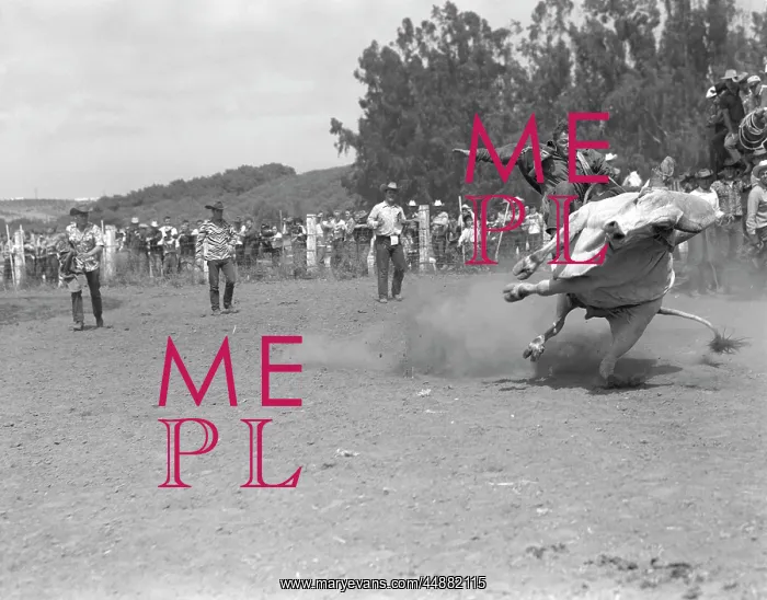  : Man Riding A Bull At A Ranch