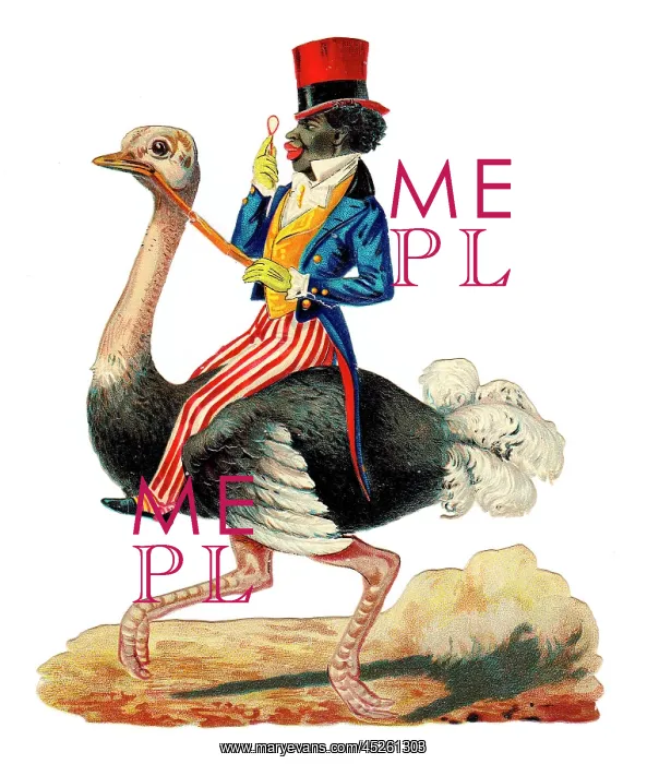  : Man riding an emu on a Victorian scrap