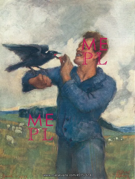 : The Man With The Rook : The Man With The Rook