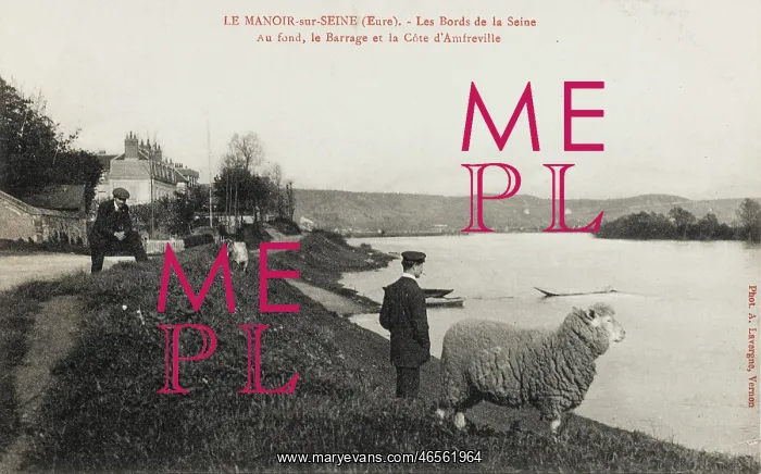 : Man & Sheep stare across the Seine : Man & Sheep stare across the Seine