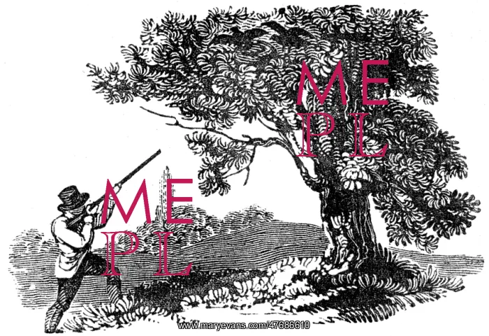 : Man shooting at two birds in a tree, c.1800 : Man shooting at two birds in a tree, c.1800