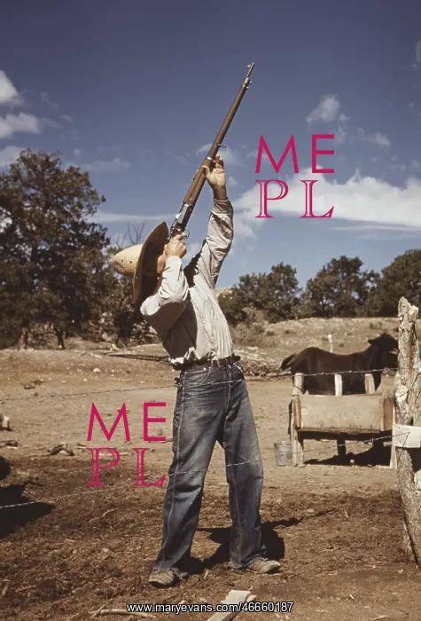 : Man - Shooting - Rifle - Rural : Man - Shooting - Rifle - Rural