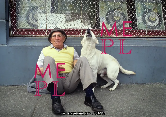 : Man with singing dog, Ireland : Man with singing dog, Ireland