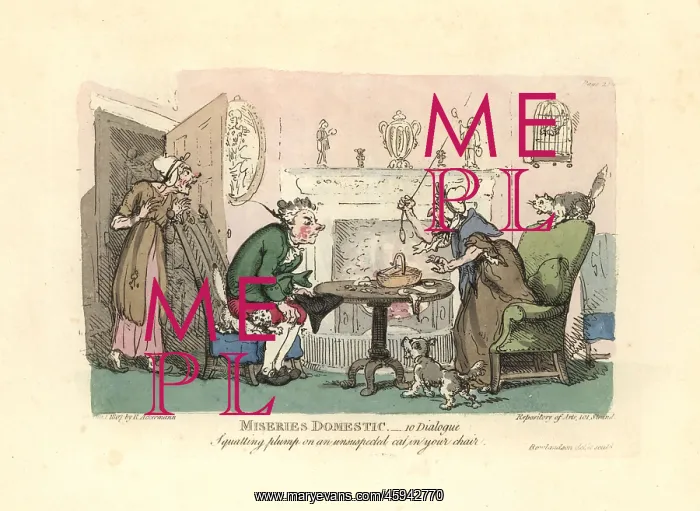 : Man sitting down on a startled cat in his chair : Man sitting down on a startled cat in his chair
