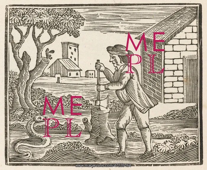 : MAN AND SNAKE : MAN AND SNAKE
