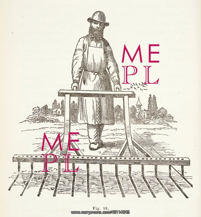 : Man sowing seeds in lines, using mechanical device : Man sowing seeds in lines, using mechanical device