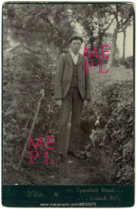  : Man with a spaniel dog