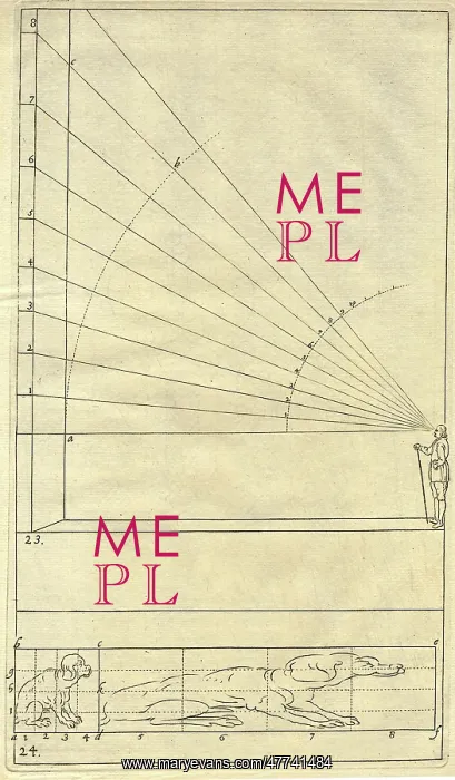 : Man standing showing range of vision and dog in perspective : Man standing showing range of vision and dog in perspective