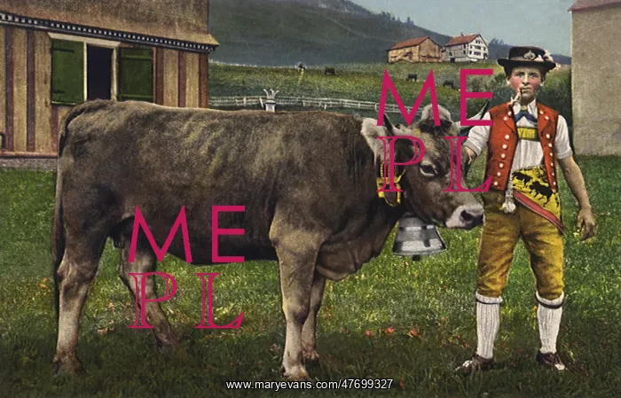  : Man and Steer with Bell