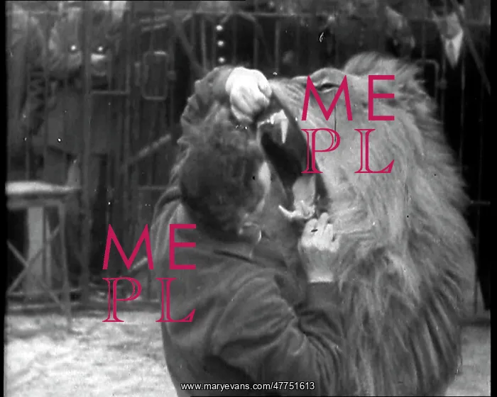 : Man Sticking his Head in a Lion's Mouth : Man Sticking his Head in a Lion's Mouth