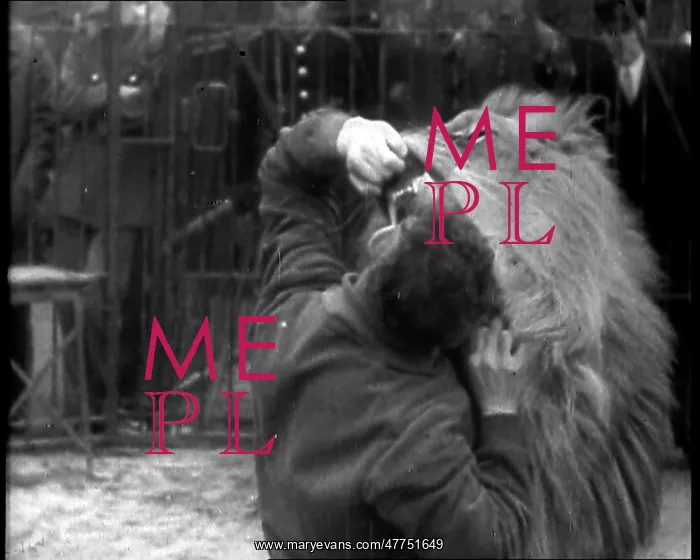 : Man Sticking his Head in a Lion's Mouth : Man Sticking his Head in a Lion's Mouth