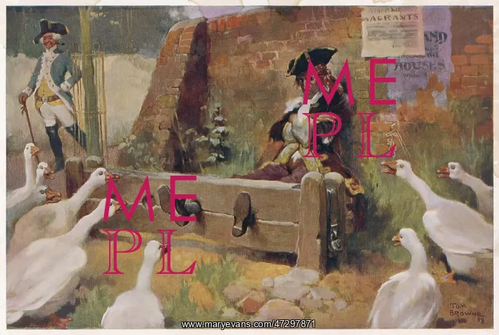 : MAN IN THE STOCKS : MAN IN THE STOCKS