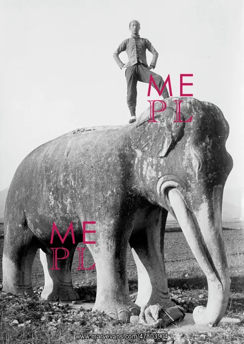 : Man on top of stone elephant, Ming tombs, China, c.1910 : Man on top of stone elephant, Ming tombs, China, c.1910
