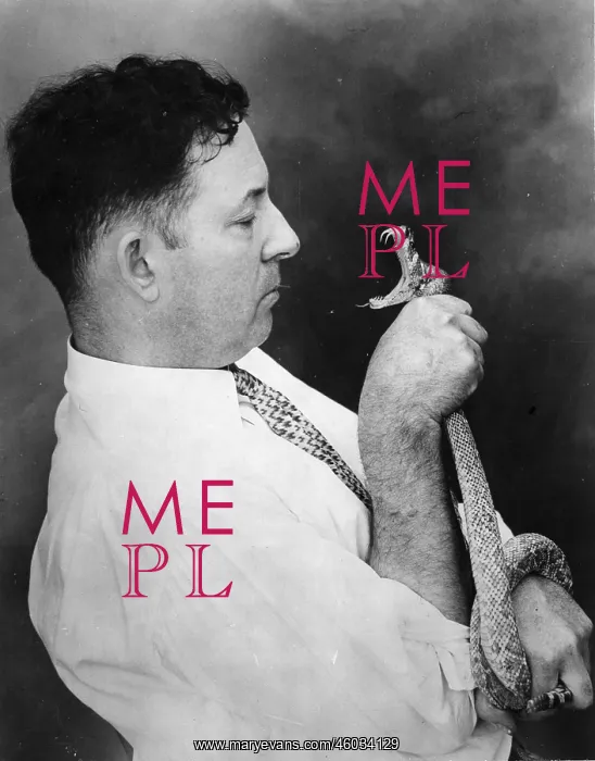 : A man with a stuffed rattlesnake : A man with a stuffed rattlesnake
