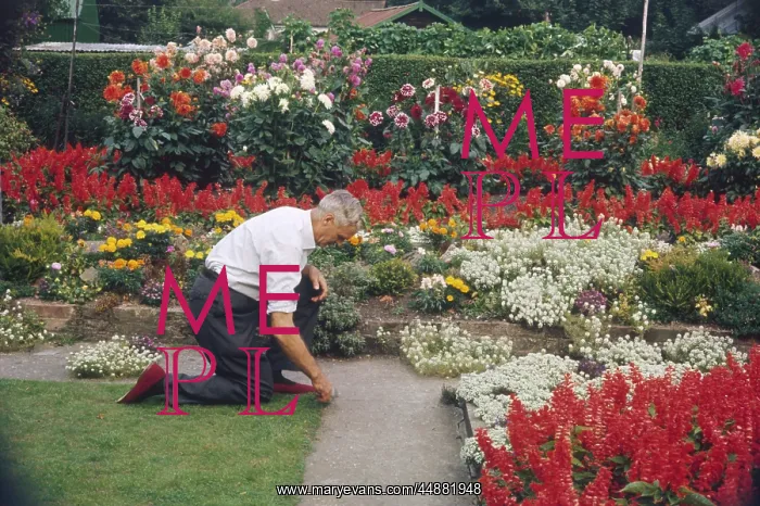 : MAN TENDING GARDEN : MAN TENDING GARDEN