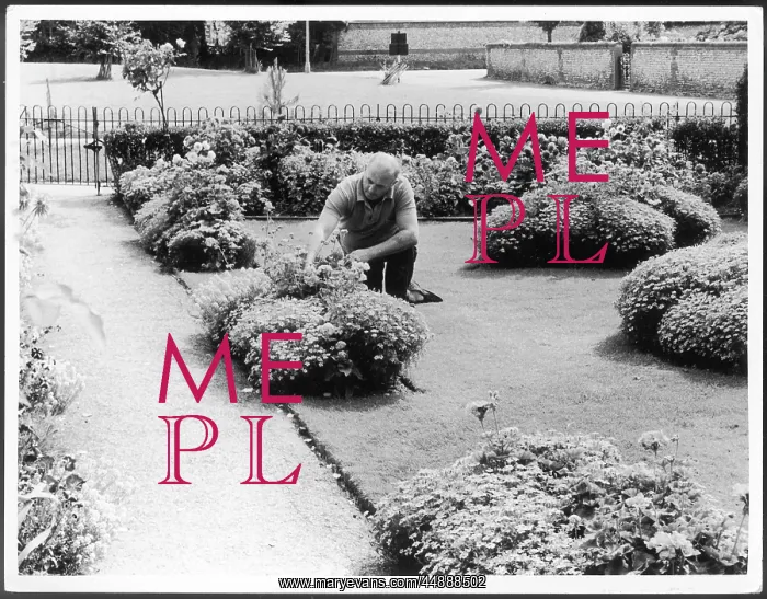 : MAN TENDING GARDEN : MAN TENDING GARDEN