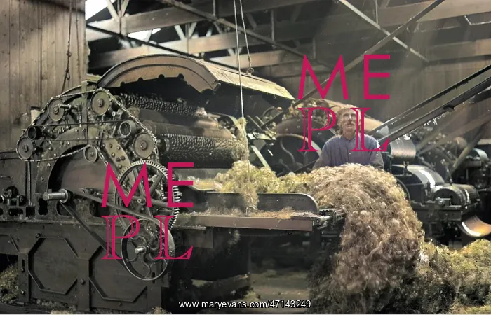 : Man in textile industry operating machine, Scotland : Man in textile industry operating machine, Scotland